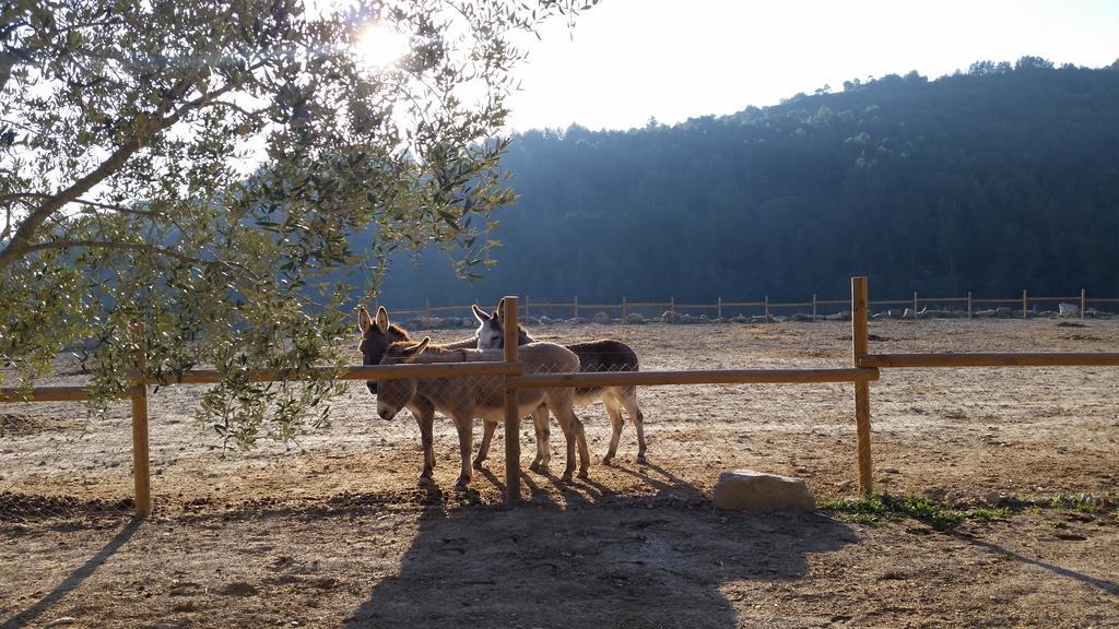 Les Muntades Βίλα Jorba Εξωτερικό φωτογραφία